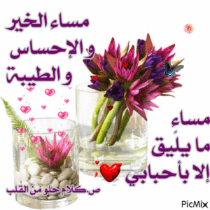 بيسيّات حبّ مسائيّة اسك بيسيّات حبّ مسائيّة اسك