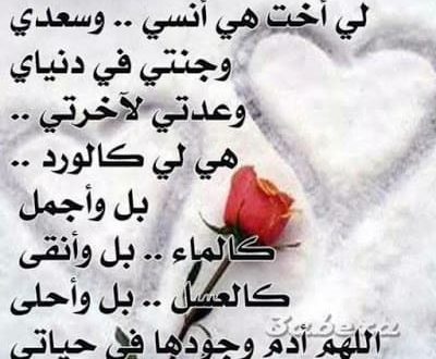 احلى قصيده عن الاخت , كلمات ذهبيه عن الاخت وفضلها احلى قصيده عن الاخت , كلمات ذهبيه عن الاخت وفضلها